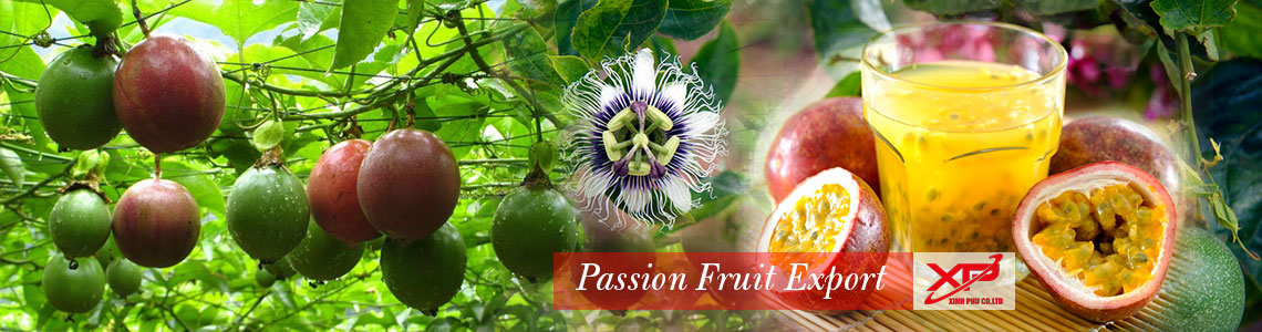  passion fruit export from Xinh Phu  Co.,