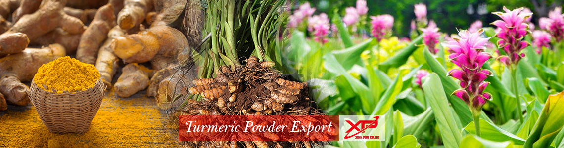 Turmeric powder export from Xinh Phu  Co.,
