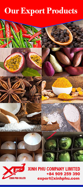Xinh Phu export