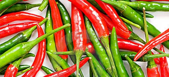  CHILLI 